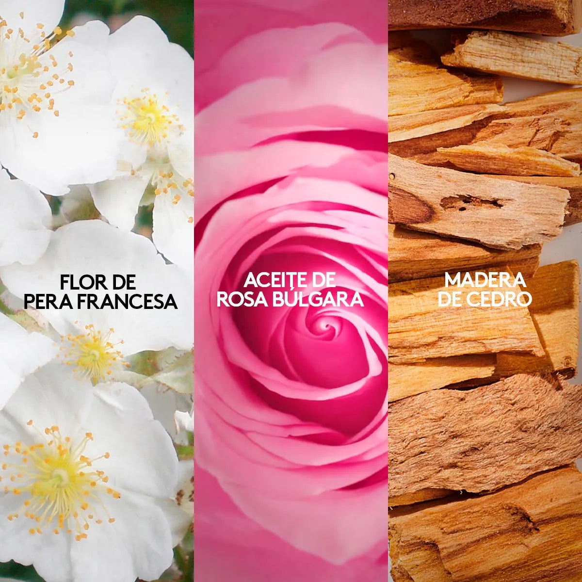 Perfume Bela Esika 45ml Rosa Bulgaria Flor de Pera EDP